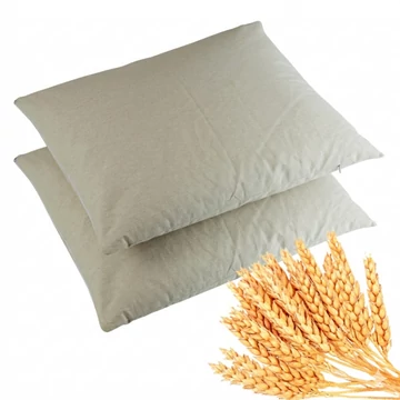 2 buc Perna 100% Naturala Antialergica 30x40cm – cu pleava spelta (alac)