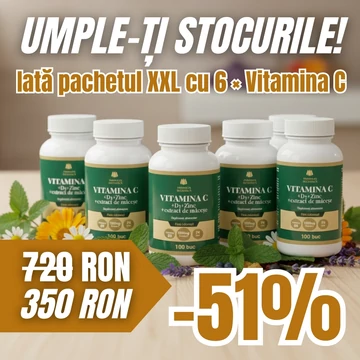 Pachet XXL cu 6× Vitamina C + D3 + Zinc + Măceșe (100 comprimate / cutie)